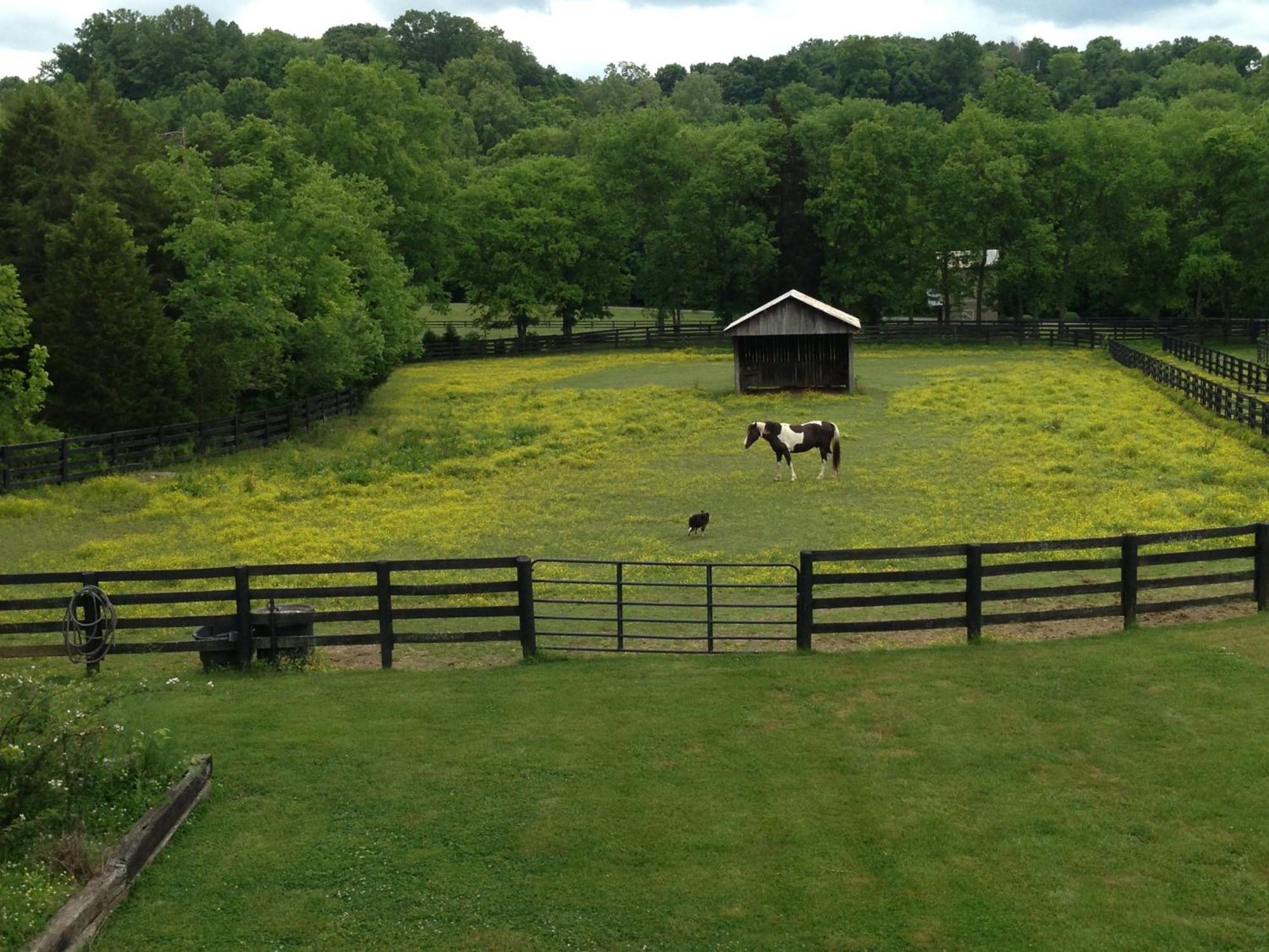 Full Circle Farm Inn Franklin Kültér fotó